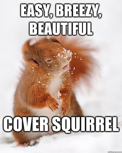 cover squirrel