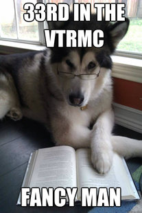 Condescending Literary Pun Dog