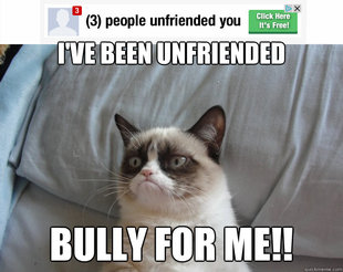 Grumpy Cat on Being Unfriended