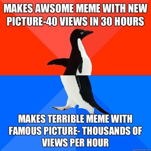 Socially Awesome Awkward Penguin