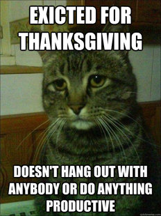 Depressed cat
