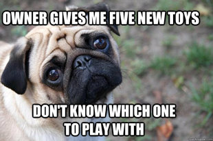 First World Dog problems