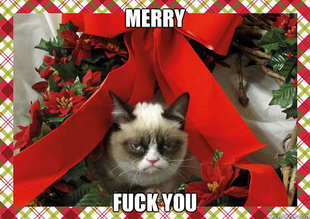A Grumpy Cat Christmas