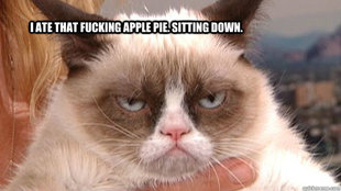 Grumpy cat