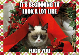A Grumpy Cat Christmas