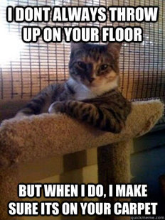 The Most Interesting Cat in the World