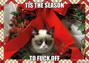A Grumpy Cat Christmas