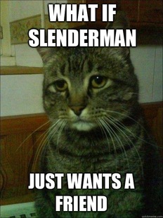 Depressed cat