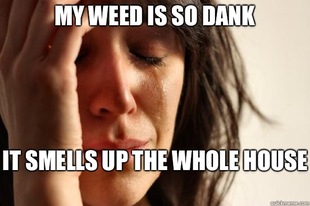First World Problems