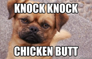Bad Joke Dog
