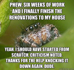 Misunderstood Spider