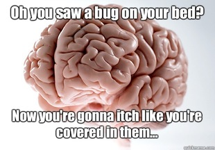 Scumbag Brain