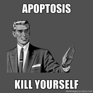 kill yourself