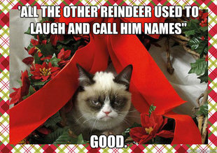 A Grumpy Cat Christmas