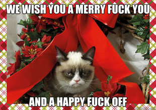 A Grumpy Cat Christmas