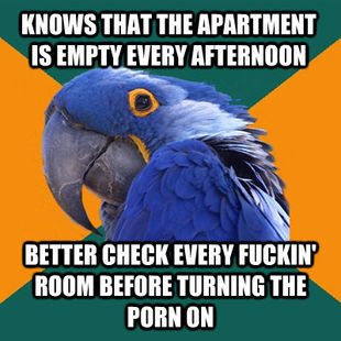 Paranoid Parrot