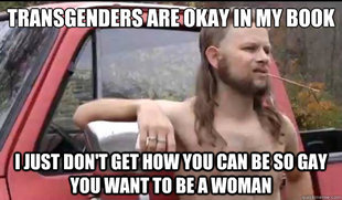 Almost Politically Correct Redneck