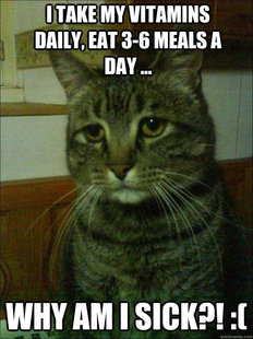 Depressed cat