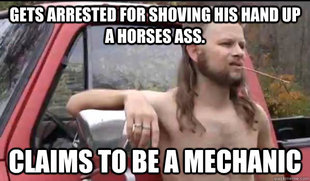 Almost Politically Correct Redneck