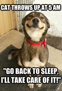 Good Dog Greg