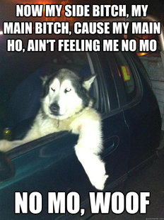 Mean Dog