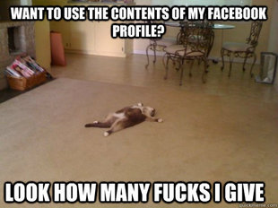 Down Cat