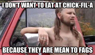 Almost Politically Correct Redneck