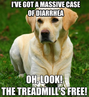 Dog Logic