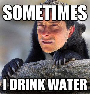 Confession Bear Grylls