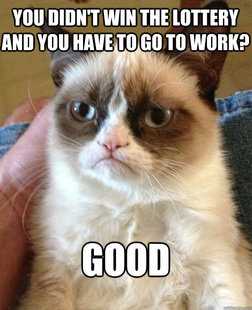 Grumpy Cat