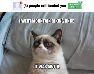 Grumpy Cat on Being Unfriended