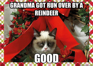 A Grumpy Cat Christmas