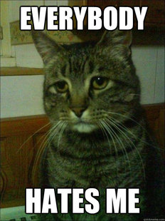 Depressed cat