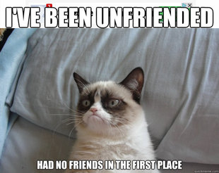 Grumpy Cat on Being Unfriended