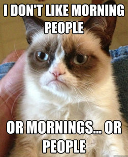 Grumpy Cat