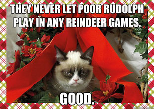 A Grumpy Cat Christmas