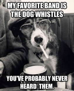 Hipster Dog