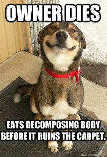 Good Dog Greg