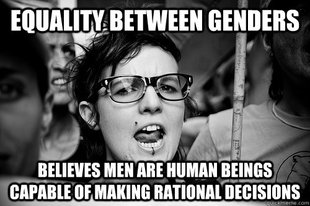 Hypocrite Feminist