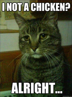 Depressed cat