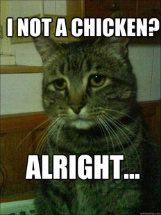 Depressed cat