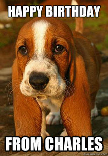 Unemployable Basset Hound Puppy