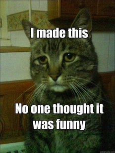 Depressed cat