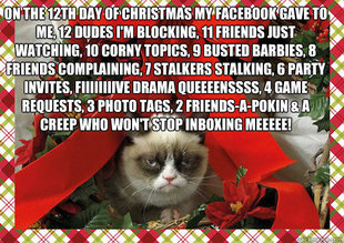 A Grumpy Cat Christmas