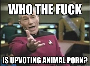 ANNOYED PICARD