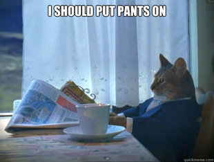 The One Percent Cat
