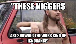 Almost Politically Correct Redneck