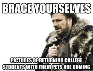Brace yourselves