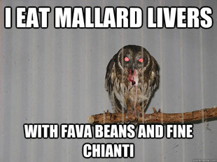 Bloodthirsty Owl