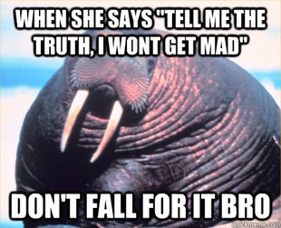Relationship Advice Walrus